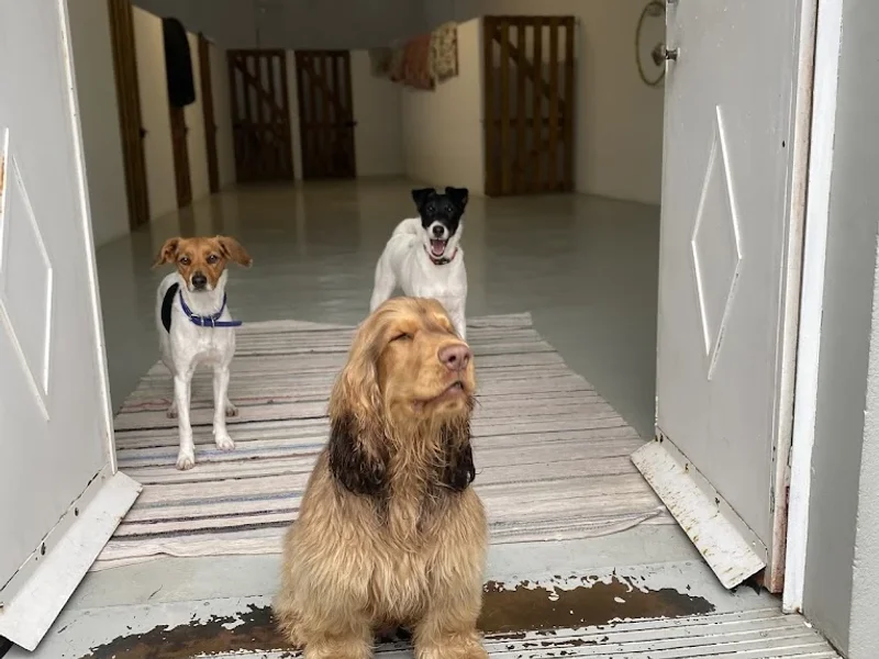 Fungaga da bicharada