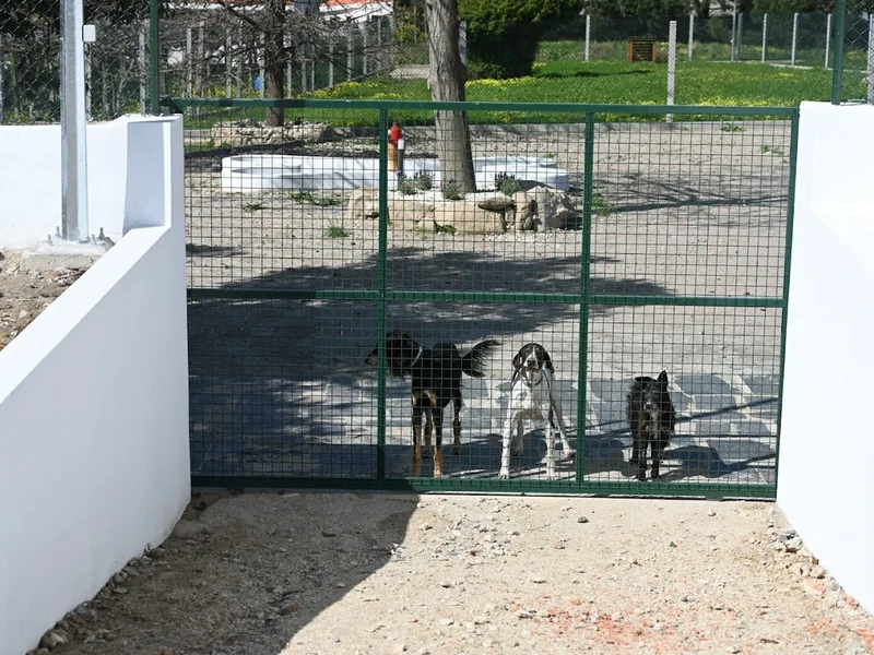 Casa de Cãopo