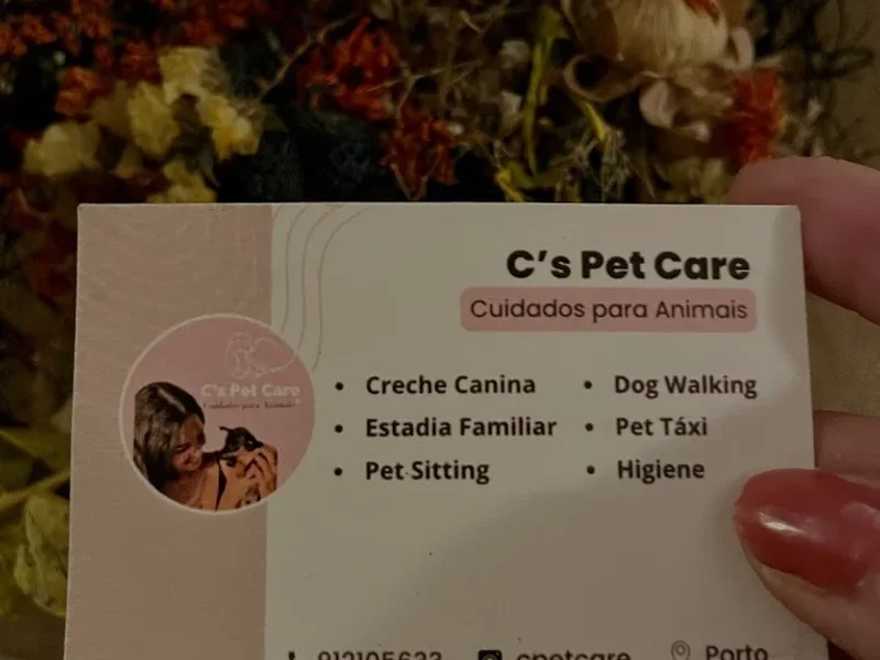 C’S PET CARE | Creche Canina & Spa Porto