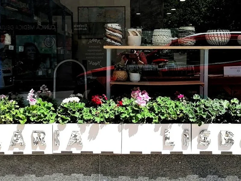 Olaria Lisboa - Inês Salgado