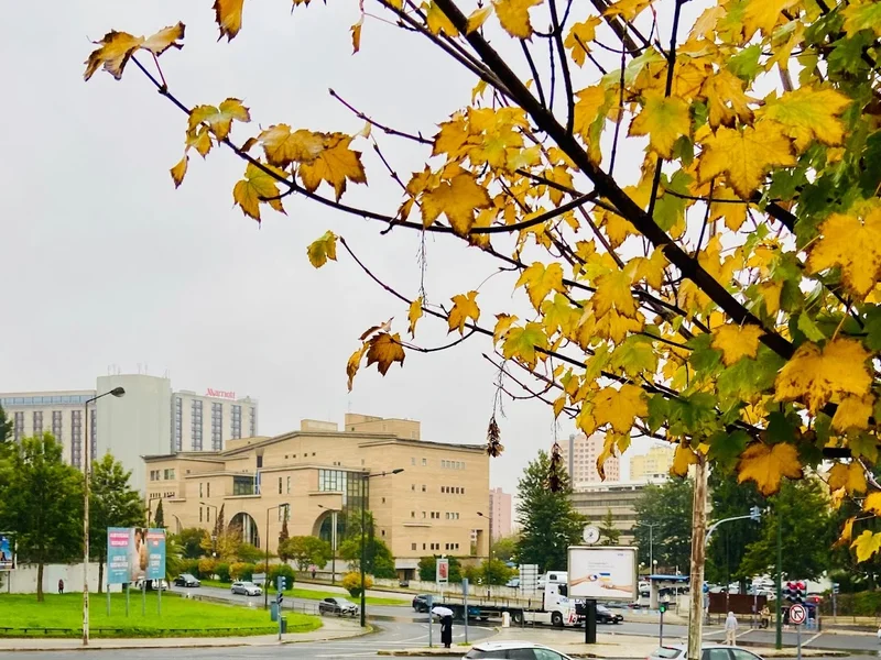 Católica Lisbon School of Business & Economics