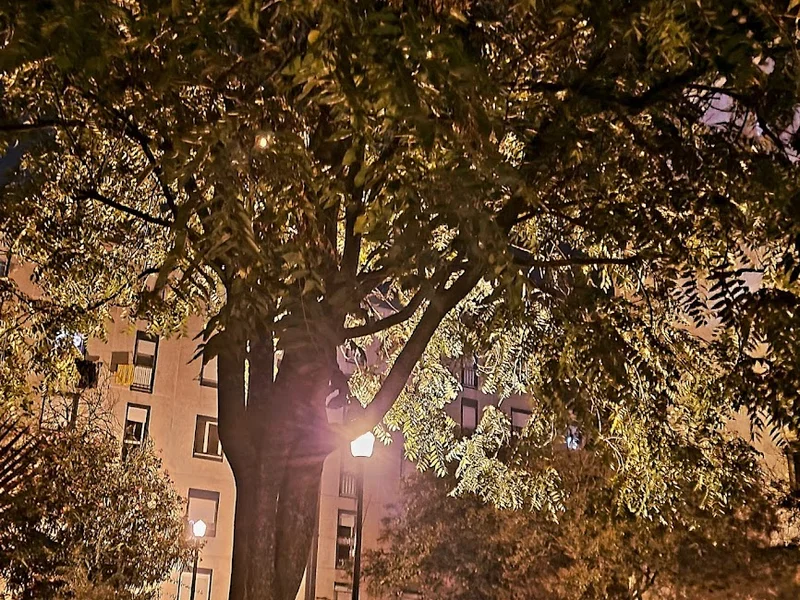 Escola de Comércio de Lisboa