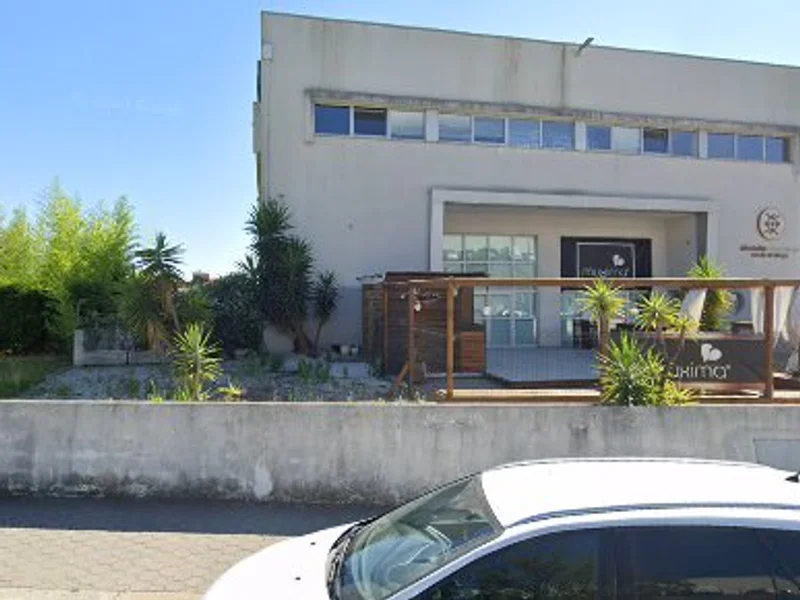 Like a Boss Dance Gaia