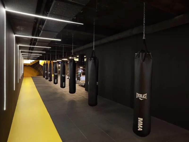 1Fight