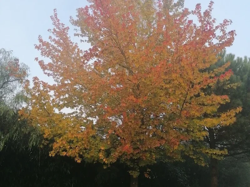 Agra Club - Fitness Center