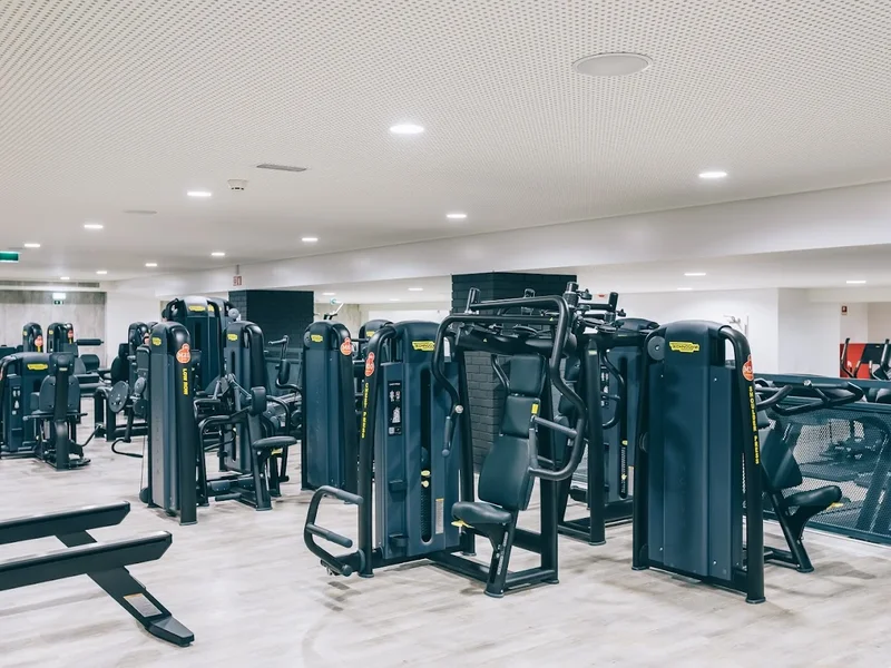 Solinca Constituição