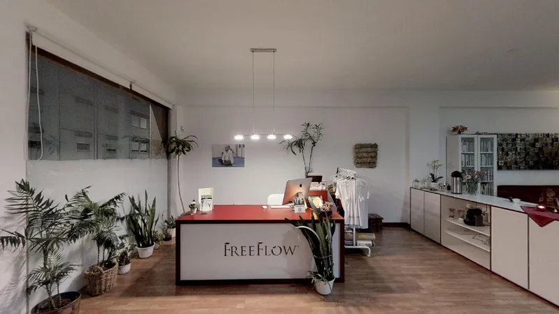 FreeFlow