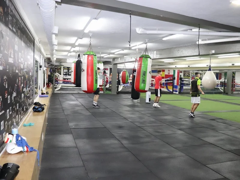 Don Kinguell Academy, Lda.