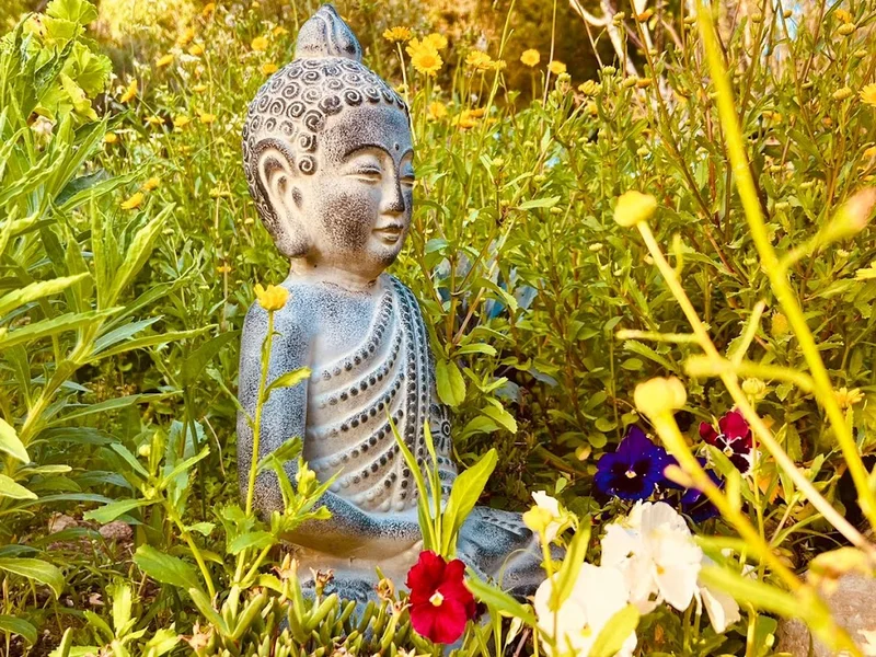 Centro de Reiki e Meditação com Carlos Ramos