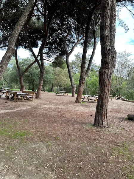 Parque José Gomes Ferreira / Mata de Alvalade