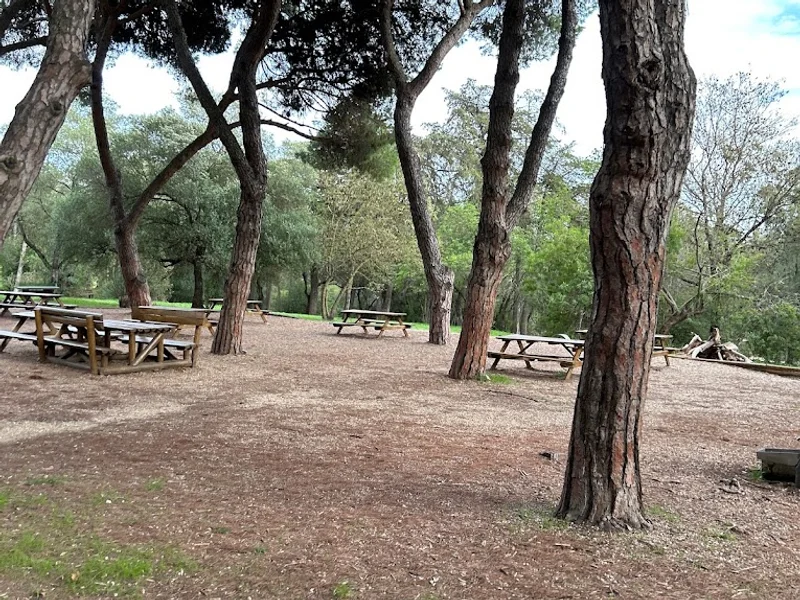 Parque José Gomes Ferreira / Mata de Alvalade