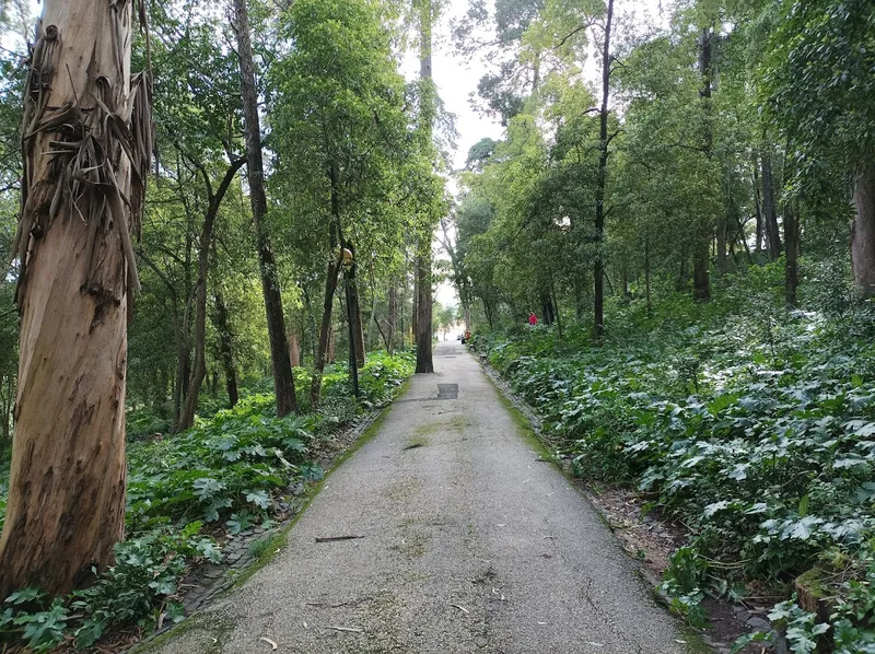 Parque Silva Porto