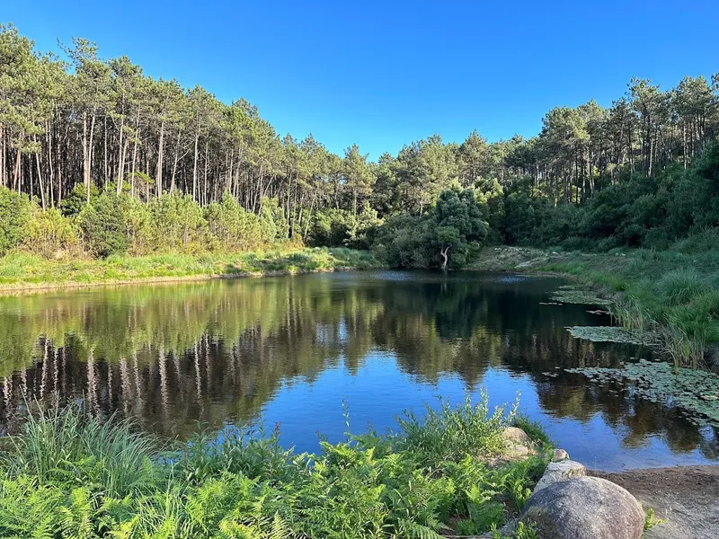 Lagoa dos Mosqueiros