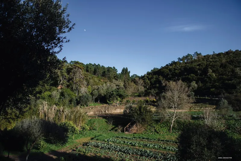 Quinta do Pisão