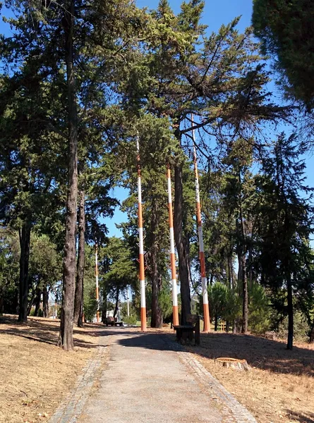 Parque José Gomes Ferreira