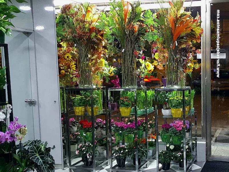 Flores Joaquim Santos