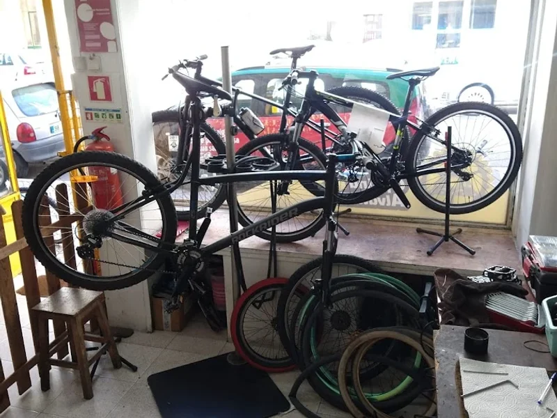 Bike Oficina Alvalade
