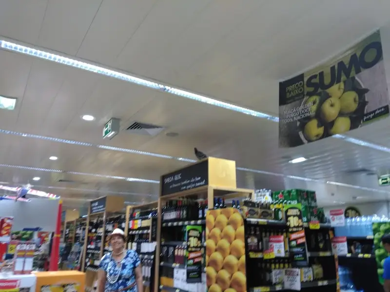 Pingo Doce Carlos Mardel