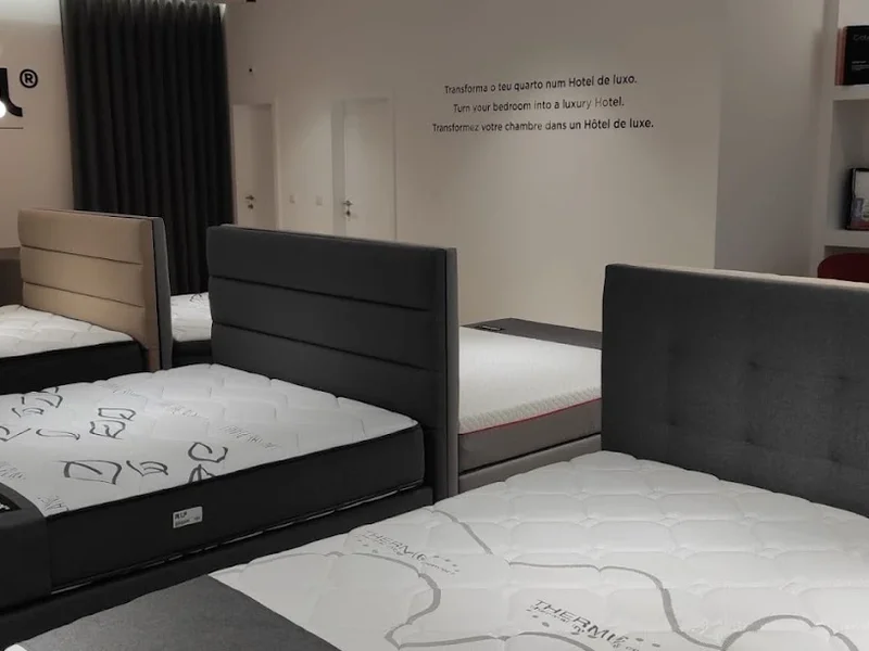 Colmol | Loja - Porto