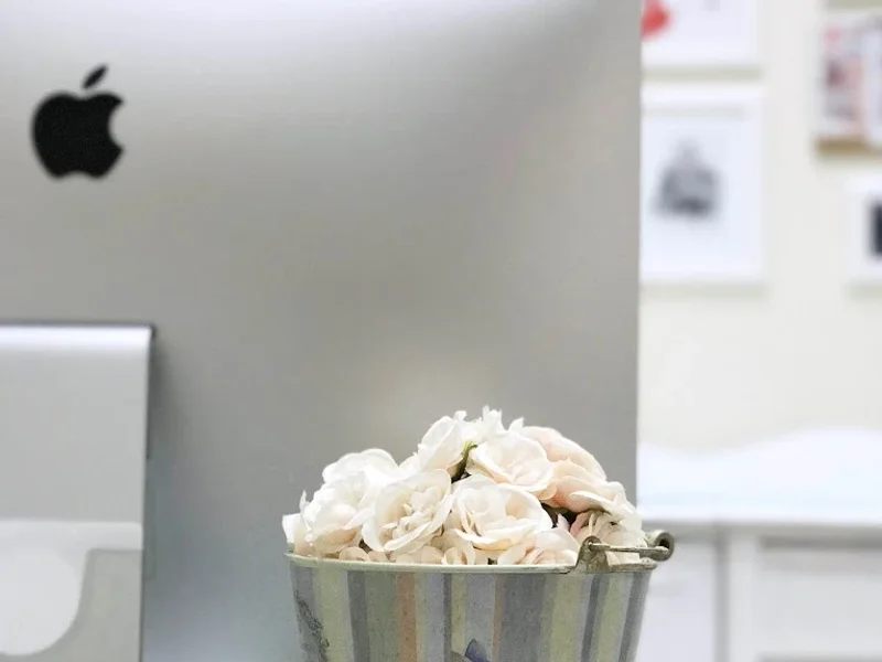 Jaqueline Roxo Atelier