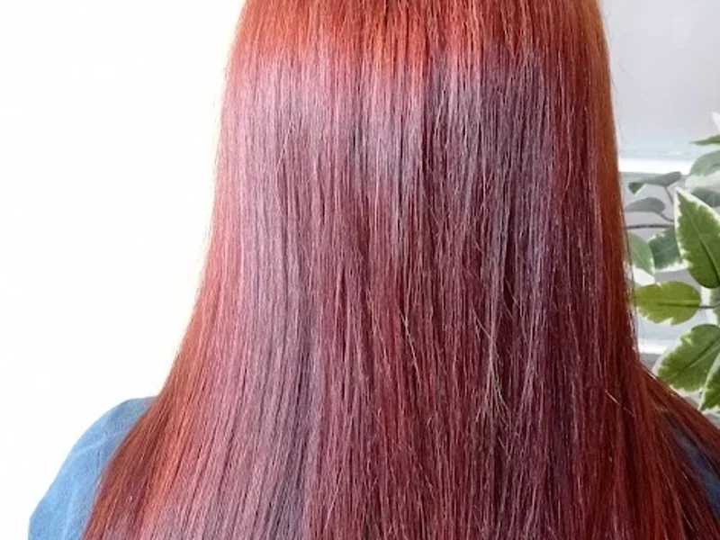 Salão Paula Cristina Santos