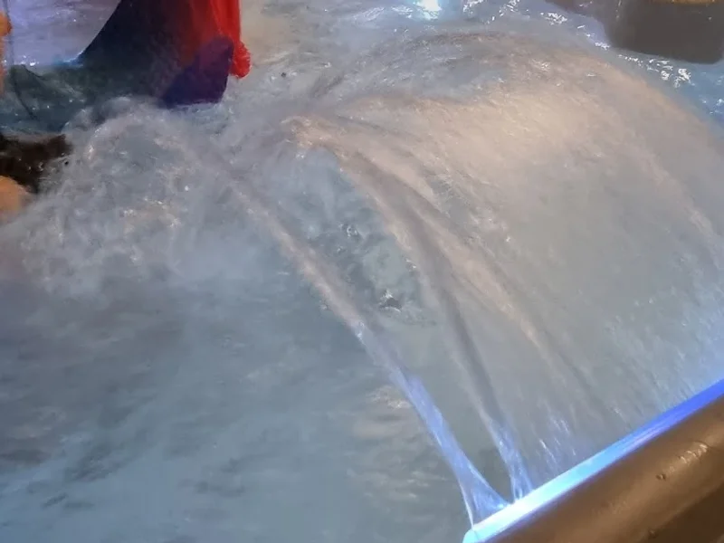 Living Pool, Lda - o seu bem estar e lazer