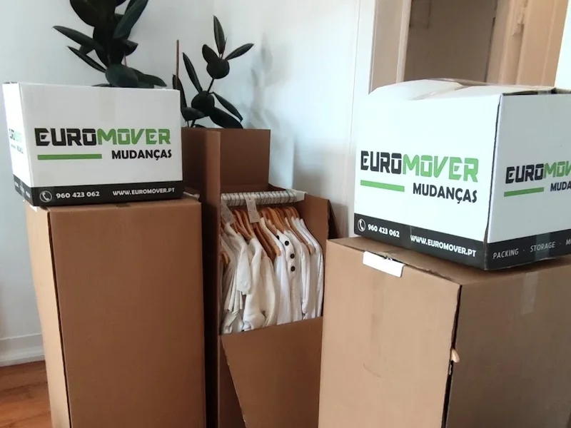 EUROMOVER MUDANÇAS