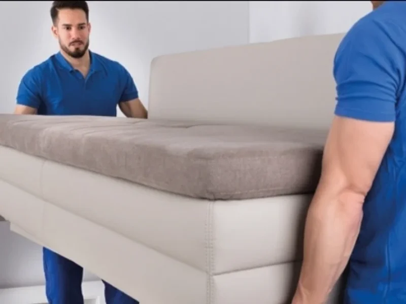 TMF- Transportes e Mudanças