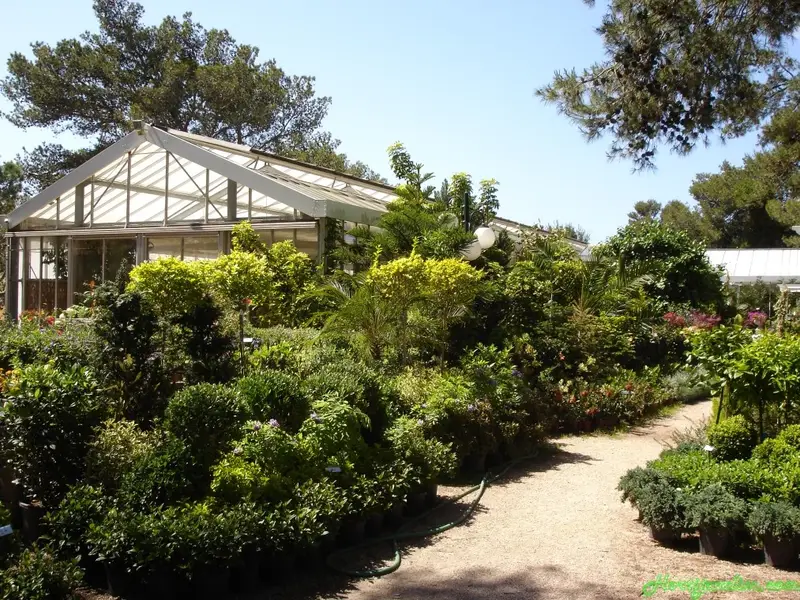 Hortijardim, Lda.