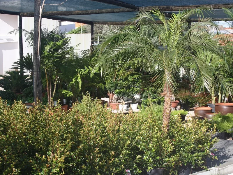 Plantad'elas Centro de Jardinagem Lda