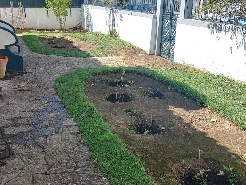 Semerva - Manutenção de Jardins