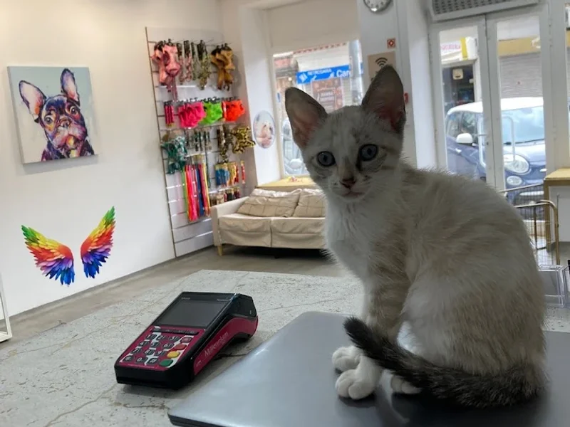 Lisboa Spa & Vet Animal