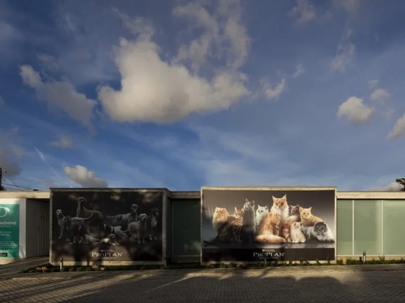 Clínica Veterinária AlcabidecheVet