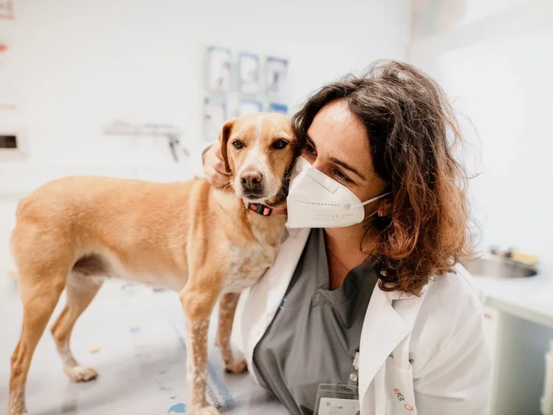 Onevet Hospital Veterinário Cascais