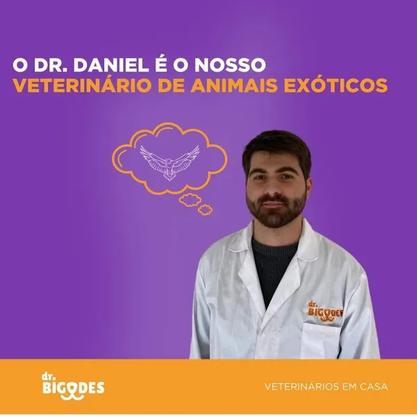 Dr Bigodes