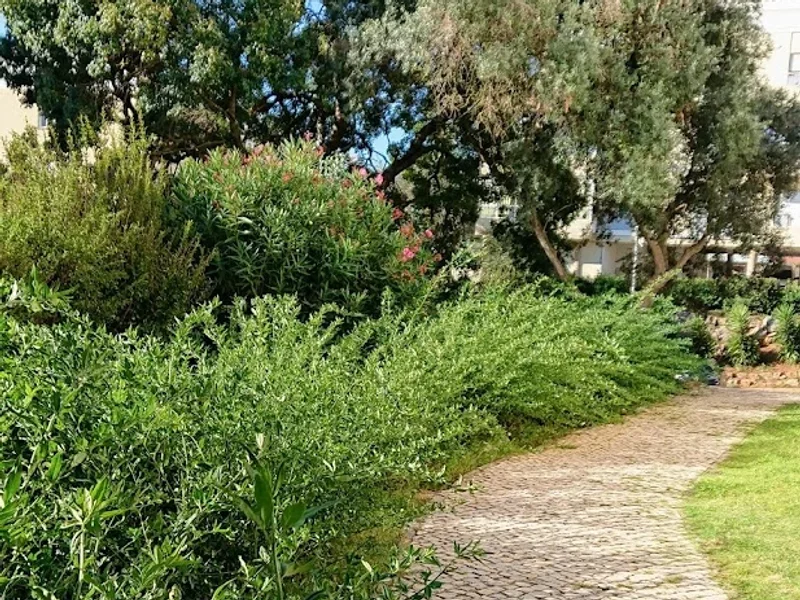 Clínica Veterinária Dr. Vieira Lopes