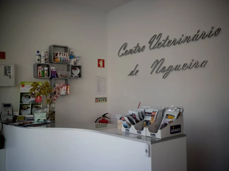 Centro Veterinário de Nogueira