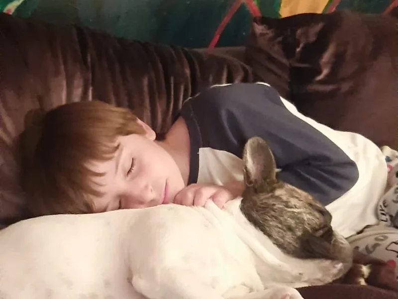 Bark & Miau - Pet Shop