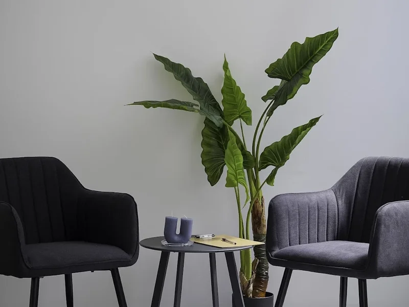 In | Motu - Saúde em Movimento