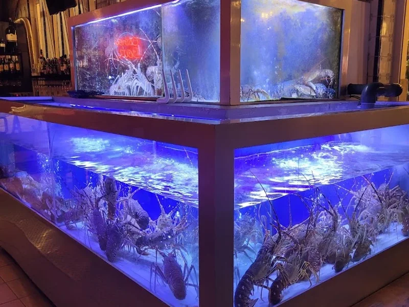 Marisco na Praça Mercado da Vila