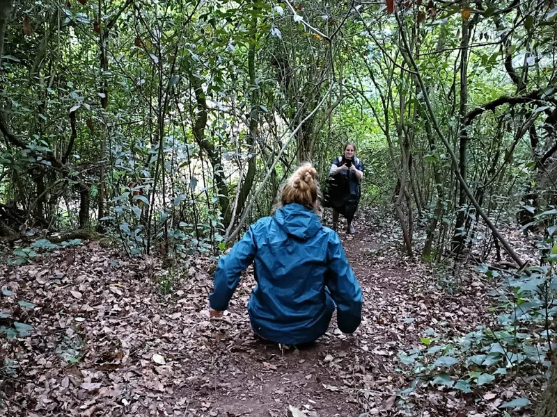 Parque Vitamina Paintball e Lasertag Centro de Atividades