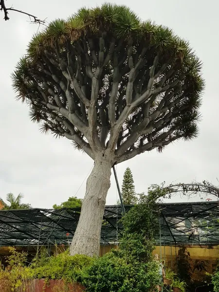 Museu da Quinta das Cruzes