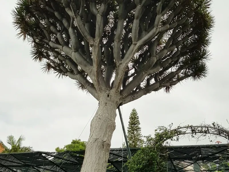 Museu da Quinta das Cruzes