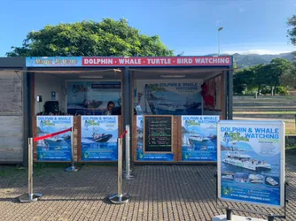 Lista 14 passeios de barco no Funchal