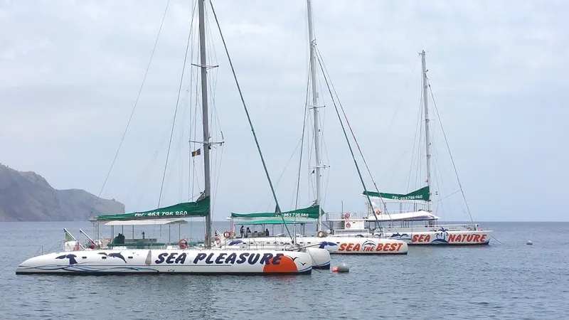 VMT Madeira - Catamaran Trips