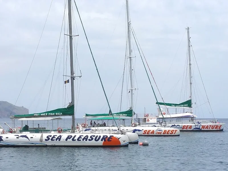VMT Madeira - Catamaran Trips