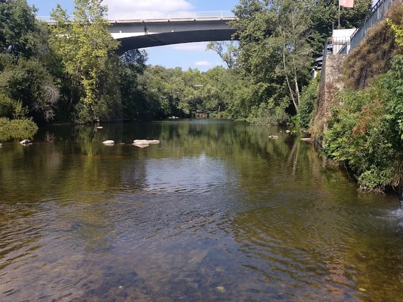 Livraria Moruscla, Lda