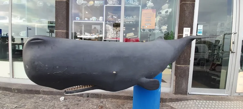 Azorean Gift Shop