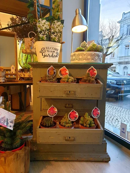 AGORA É QUE SÃO ELAS - Atelier e Boutique