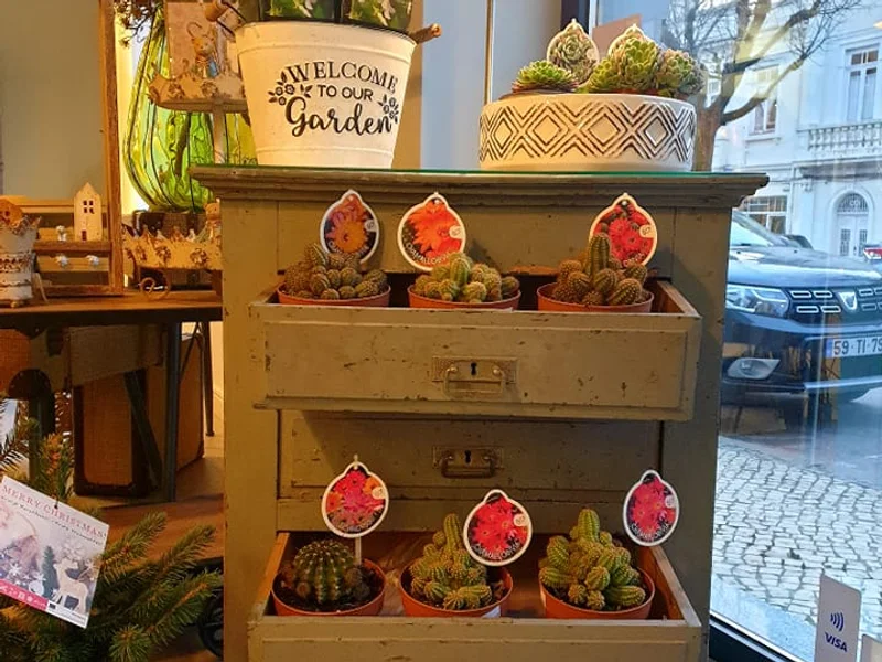 AGORA É QUE SÃO ELAS - Atelier e Boutique